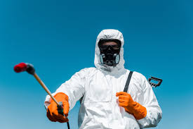 Outdoor Pest Control in Laguna Hills, CA